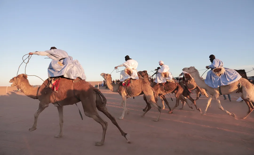 أنشطة الفروسية وسباق الجمال