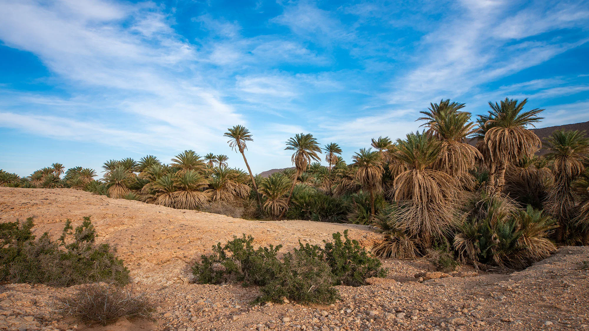 عوينة لهنا